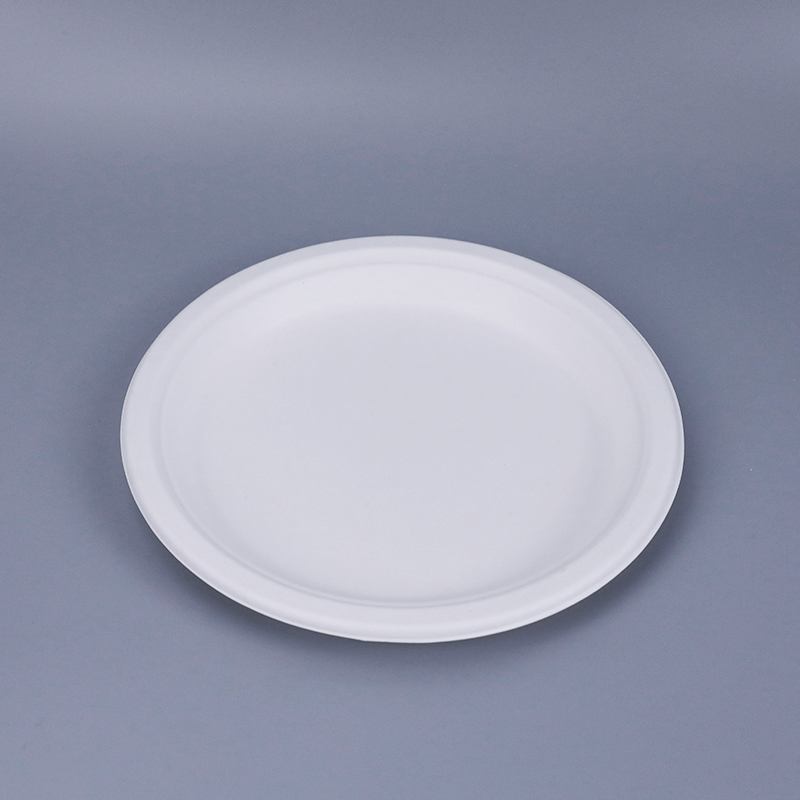 甘蔗漿圓盤(pán)