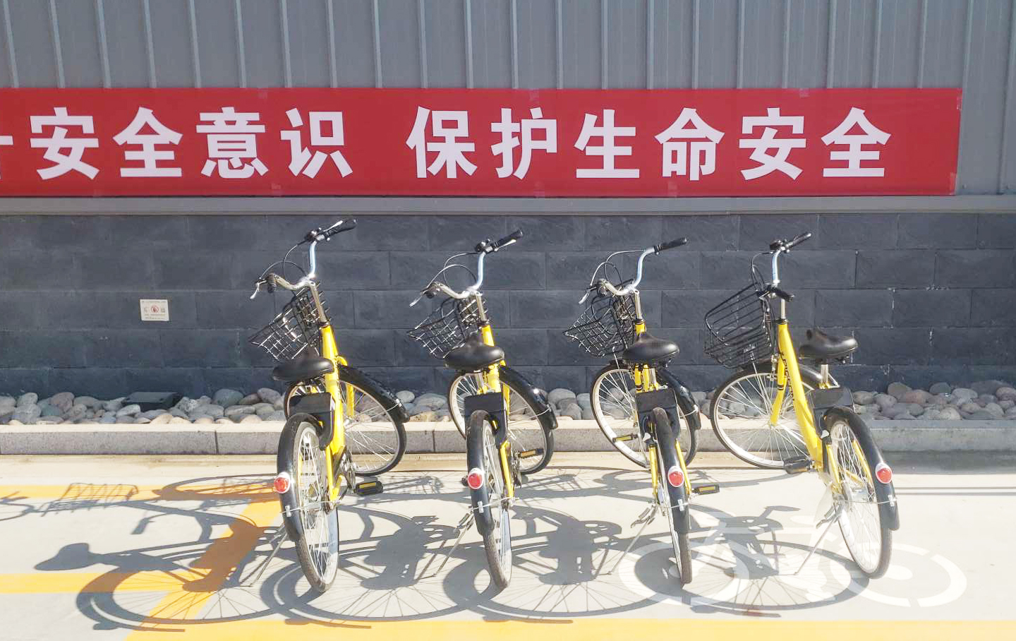 助力辦公路上“最后一公里” | Pando龐度·河北龍大引入免費(fèi)“小黃車”，員工辦公更方便啦！